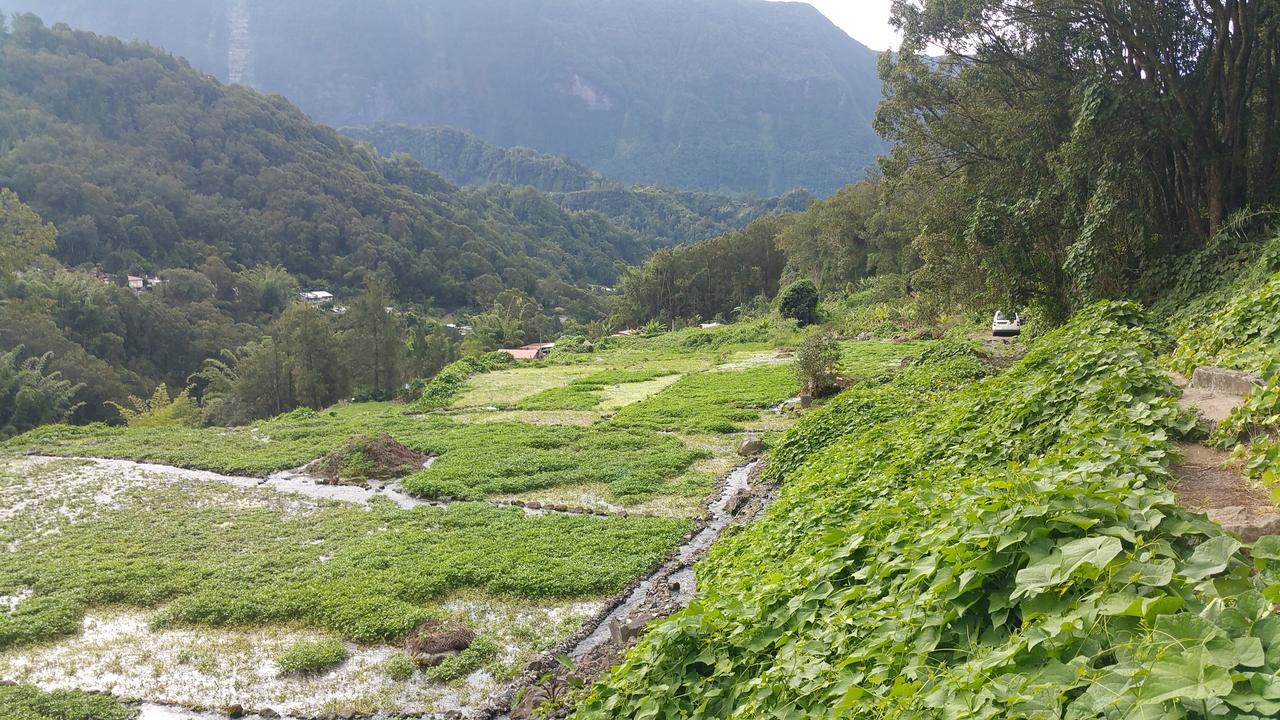 هيل بورغ Gite Du Piton D Anchaing المظهر الخارجي الصورة